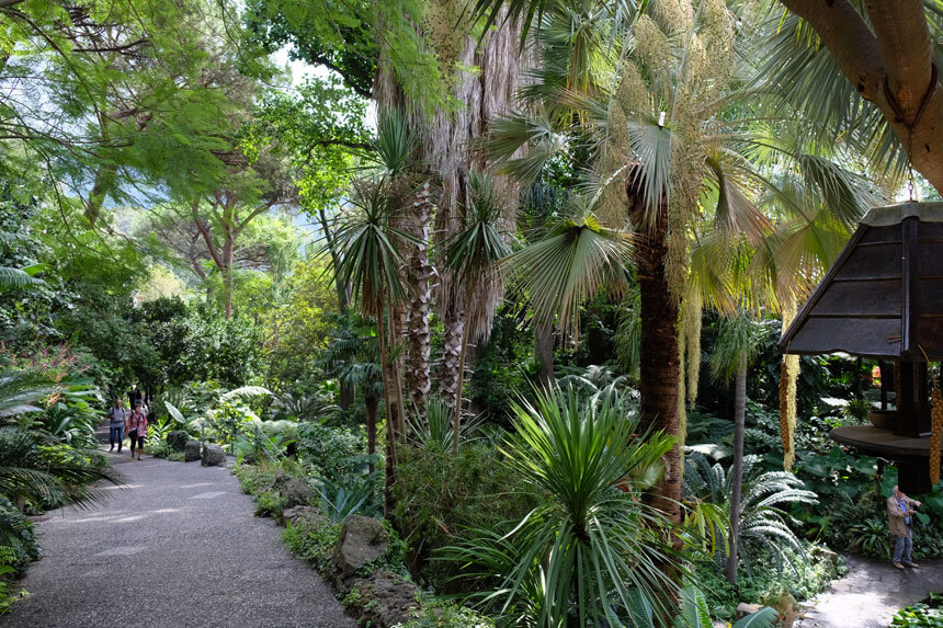 Walking through the Valley Garden at la Mortella