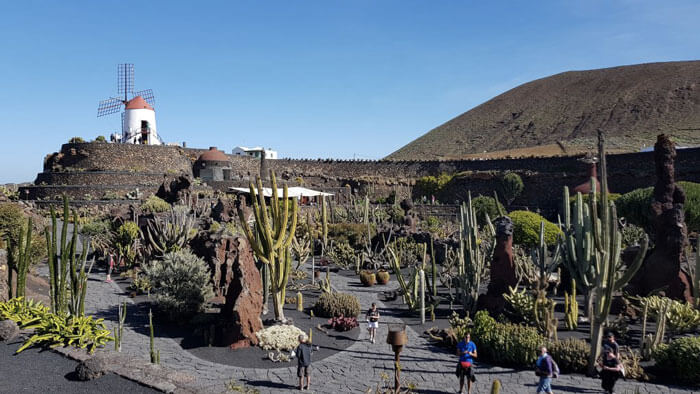 The Cactus Garden on Lanzarote