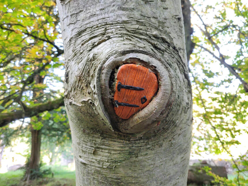 A fairy door in a tree beside the river in Wycoller. A tiny orange door with black hinges is set into the trunk of a tree.