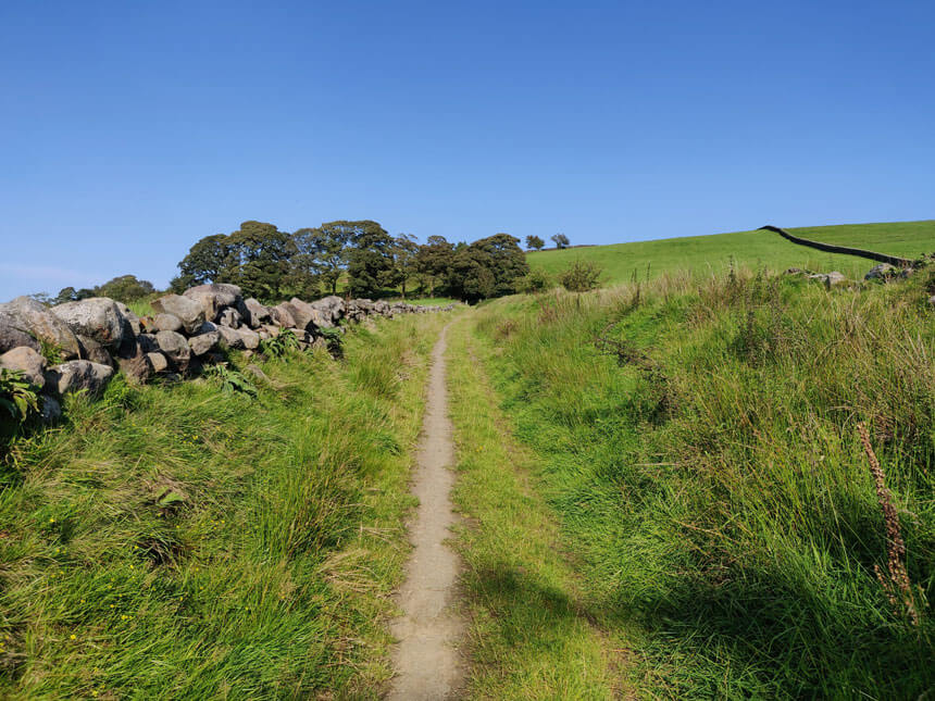 A straight path alongside green grassy fields under a blue sky, with trees in the distance. 