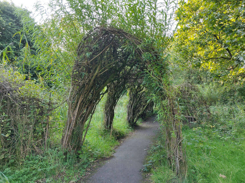 A footpath leads through a living tunnel made of willow branches. The willow tunnel and bower was created as part of an art project. 