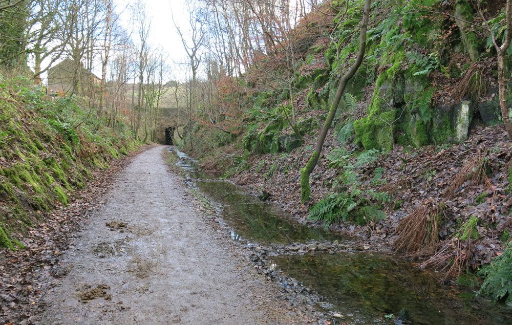 A winter walk along the Delph Donkey railway line