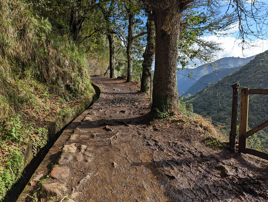 The beautiful levada walk to the Balcões viewpoint