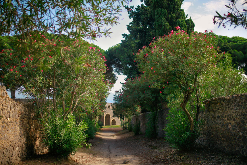 The streets near the Amphitheatre were really pretty