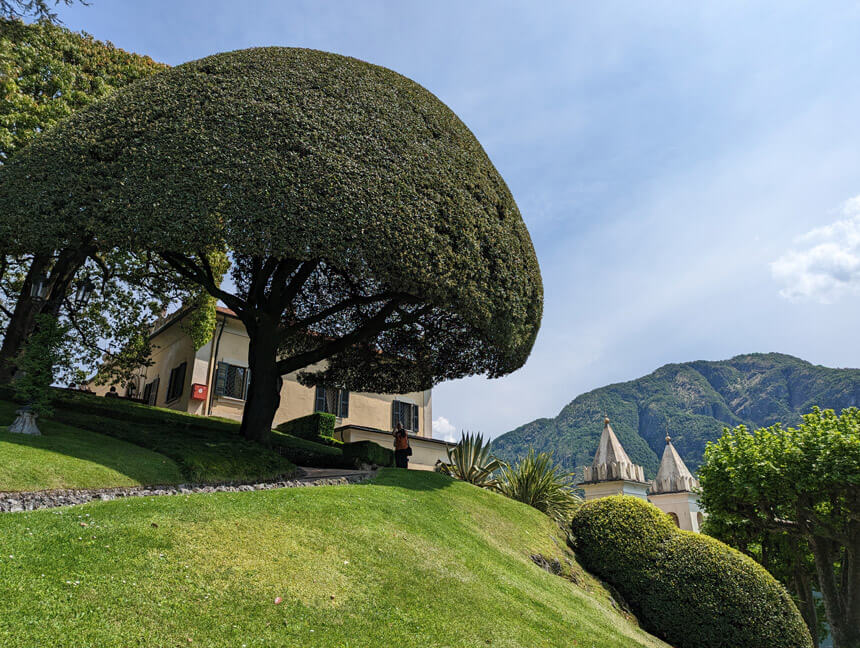 The trees in Villa del Balbianello's garden are carefully pruned to create immaculate dome shapes