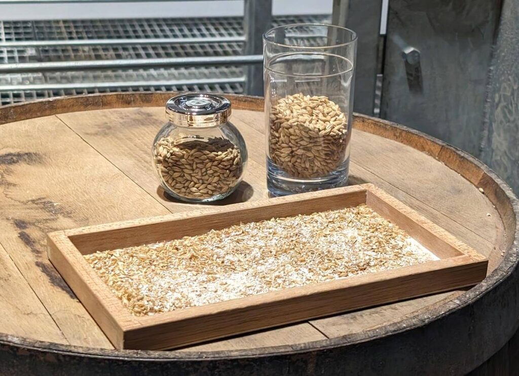 Three containers with barley at different stages of its use in whisky making