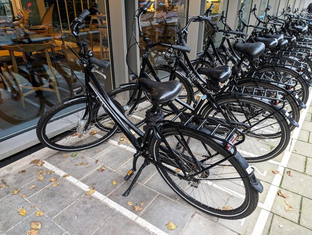 If you're confident in your biking skills, you can rent bikes from the hotel