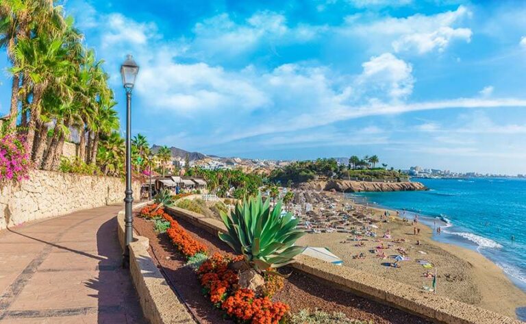 A path behind a sandy beach in Costa Adeje, with cactuses, palm trees and flowers