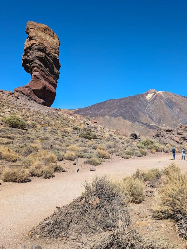 7 amazing things to do in Tenerife