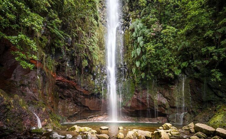 A waterfall in a forest in Madeira