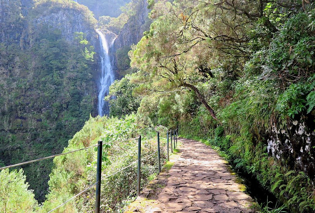 A mountain walk in Madeira. The mountain is heavily wooded. There's a tall waterfall at the end of the path. 