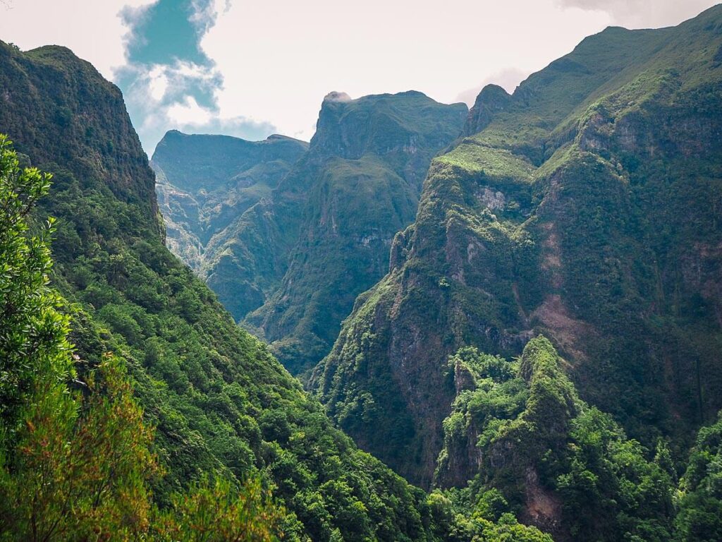 Thickly wooded mountain peaks in Madeira