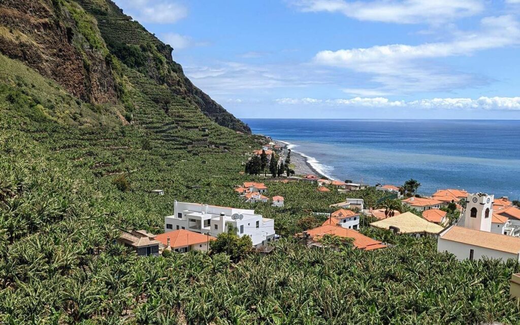 Banana plantations in Madeira. A steep hill on the left hand side turns into banana trees. There are some red-roofed village houses and farms, and the sea beyond.