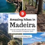 An image of four of the most beautiful hikes in Madeira; a wild coastal landscape, a path through woods, a mountain vista and a fishing village