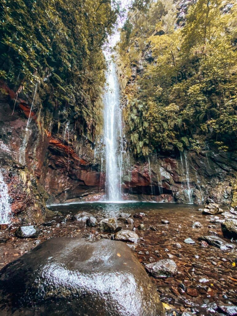 A tall waterfall in the middle of a forest