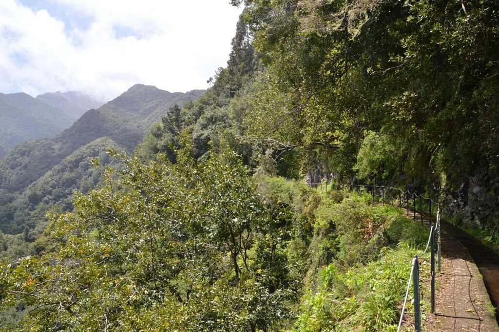 A path running along the side of a thickly wooded mountain peak