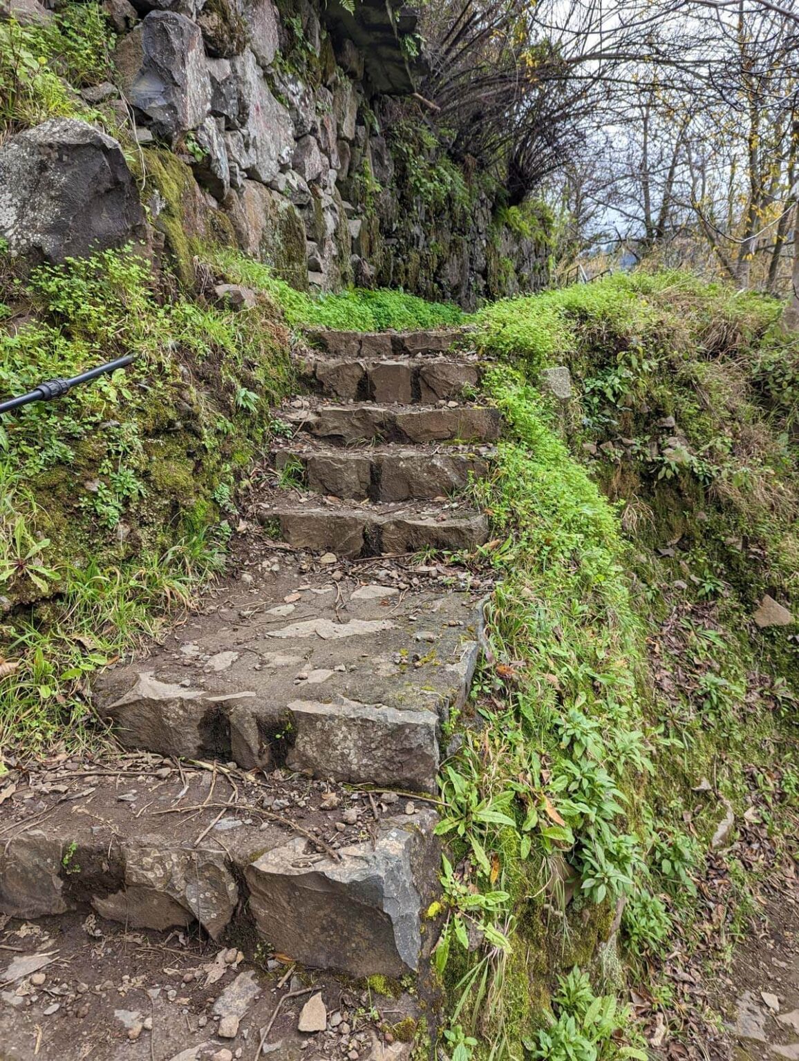 The Nuns' Path: Eira do Serrado to Curral das Freiras, Madeira