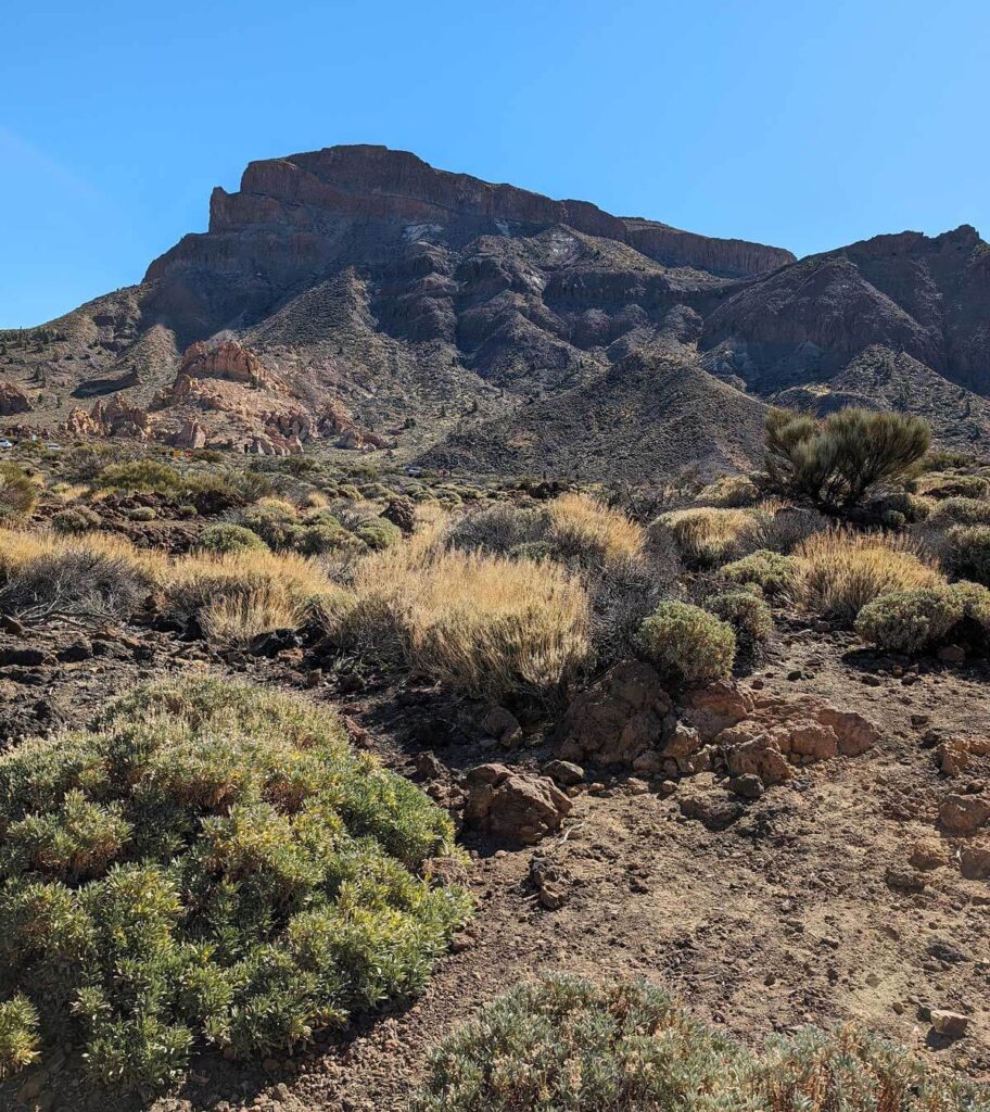 A rocky landscape in Mount Teide national park with desert-like plants and a bright blue sky