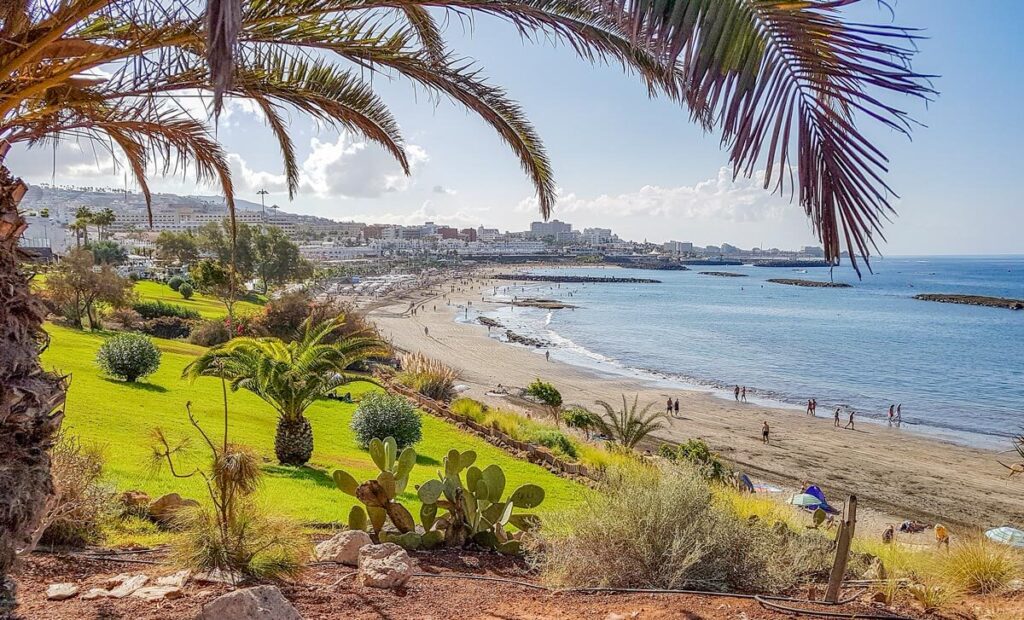 A long, wide beach in Costa Adeje, Tenerife, backed with green tropical gardens