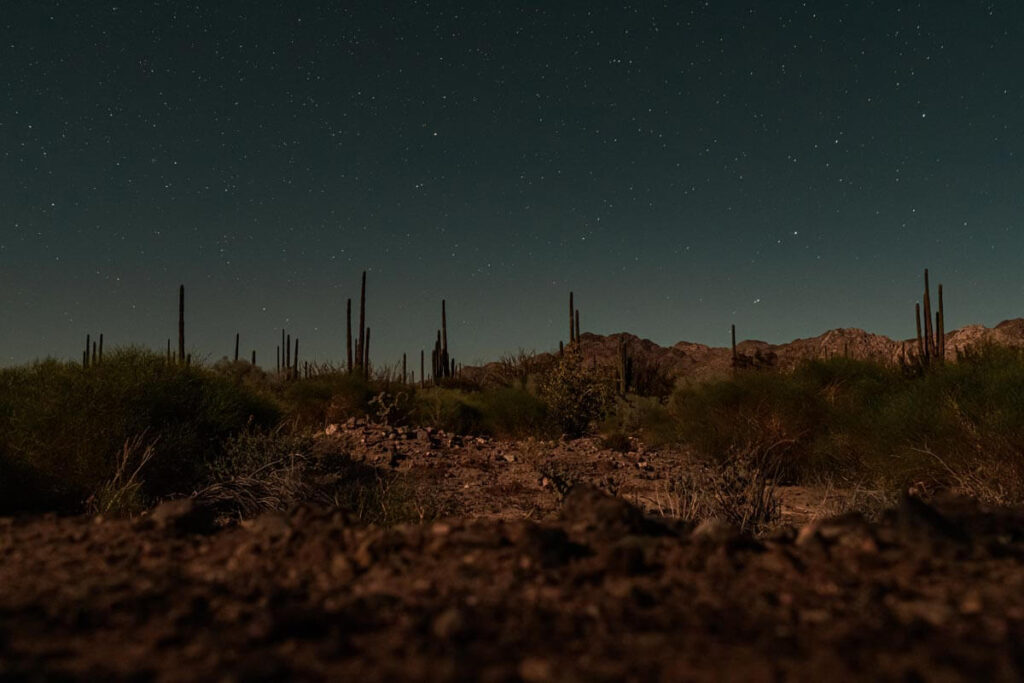 The night sky in Bahia De Los Angeles, Baja California. A desert foreground with a sky full of stars. 