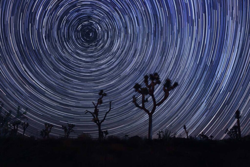 Stargazing in Joshua Tree National Park