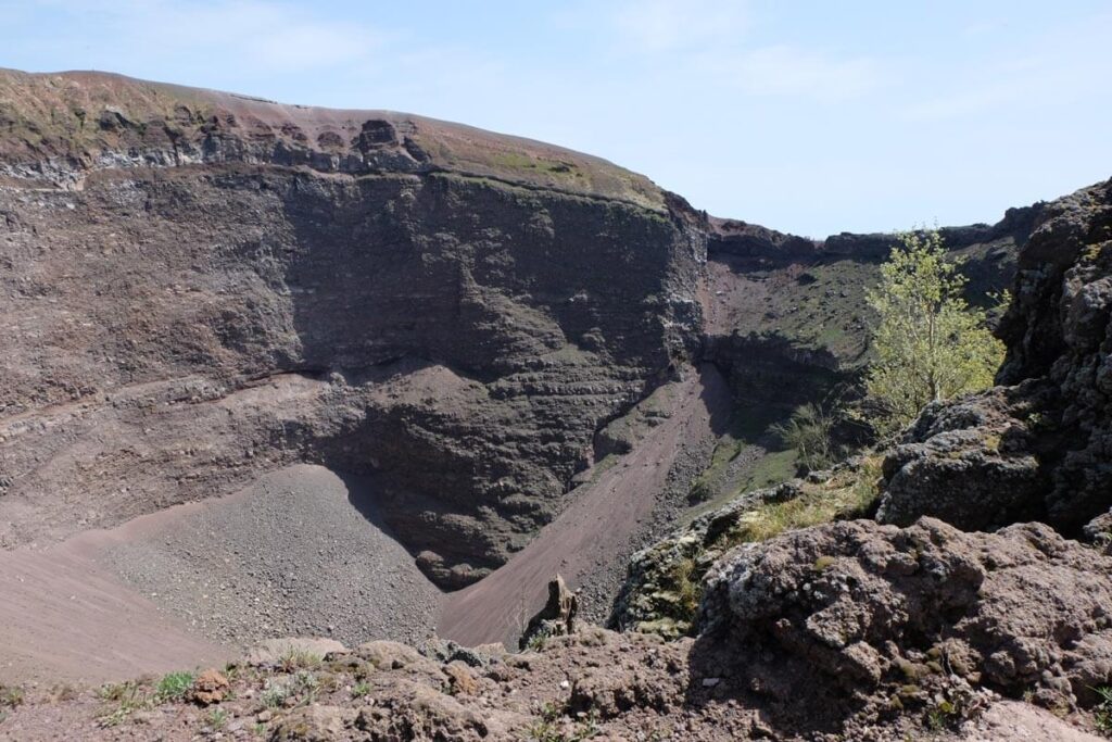 A tree in the crater of Mount Vesuvius