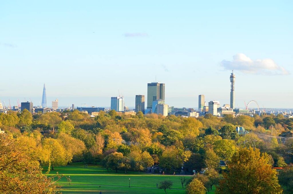 The view from Primrose Hill. A grassy hill with autumn trees, with the London skyline behind. You can see the BT Tower, London Eye and the Shard clearly on the skyline. 
