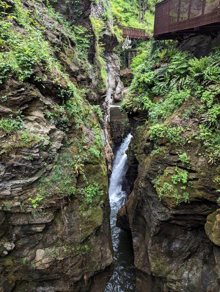 A small waterfall flowing down a rocky cliff with ferns and bushes all around