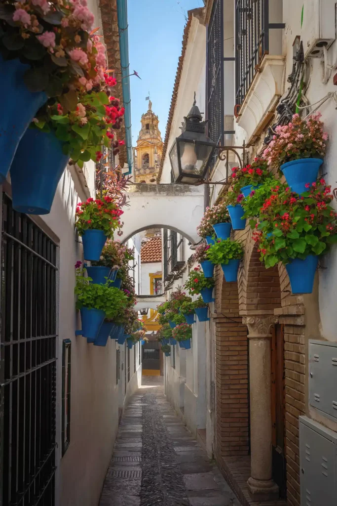 A narrow street in Córdoba with flowerpots and the cathedral tower in the background.