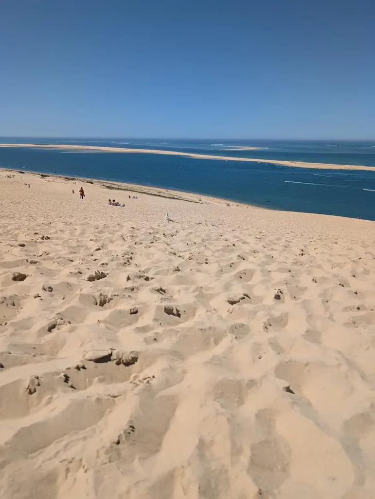 Looking down the ocean side of the dune towards the Atlantic and the Banc d'Arguin nature reserve