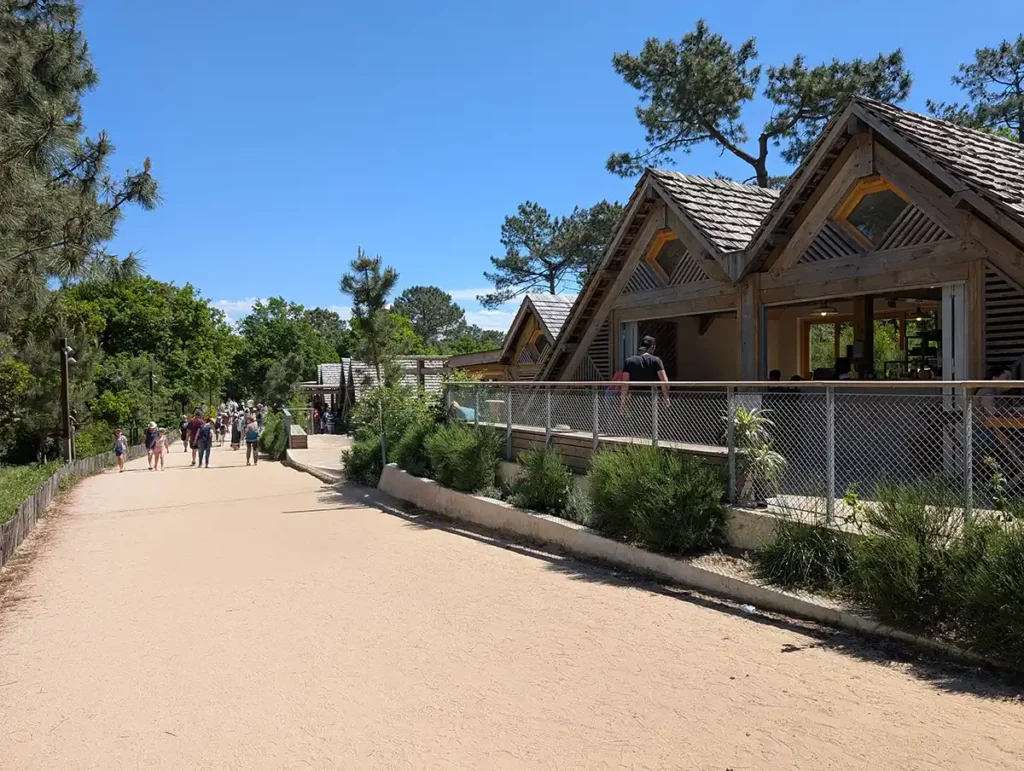 Wooden cabins with a cafe inside, beside a wide walkway
