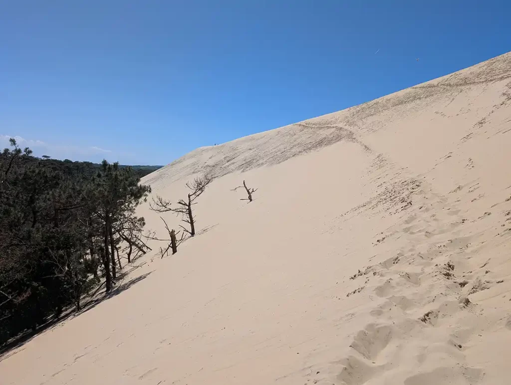 An enormous sand dune, disappearing into a blue sky