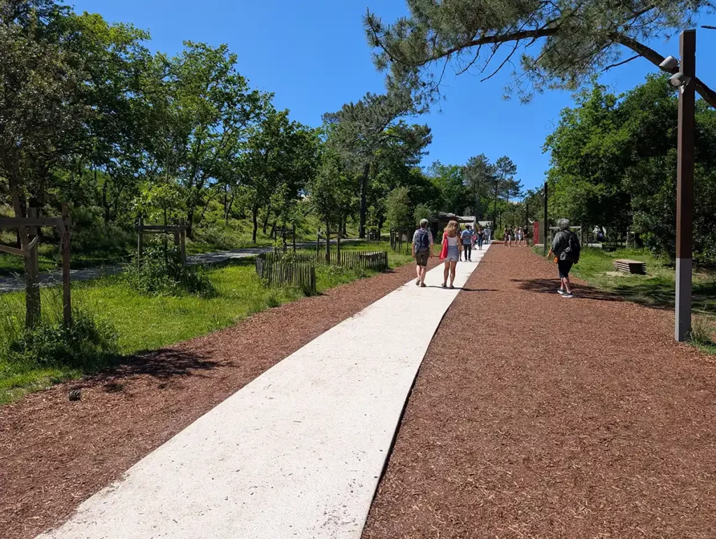 A walkway leading off towards the Dune du Pilat