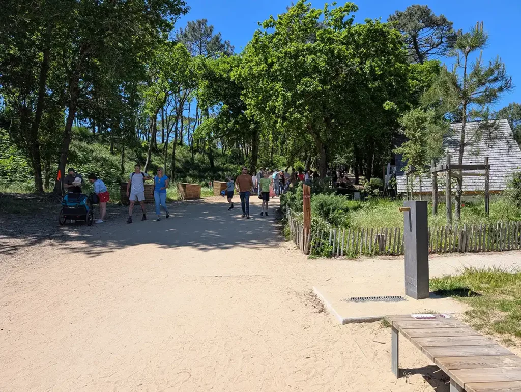 The path from the visitor area to the dune, the walkway is already covered in sand