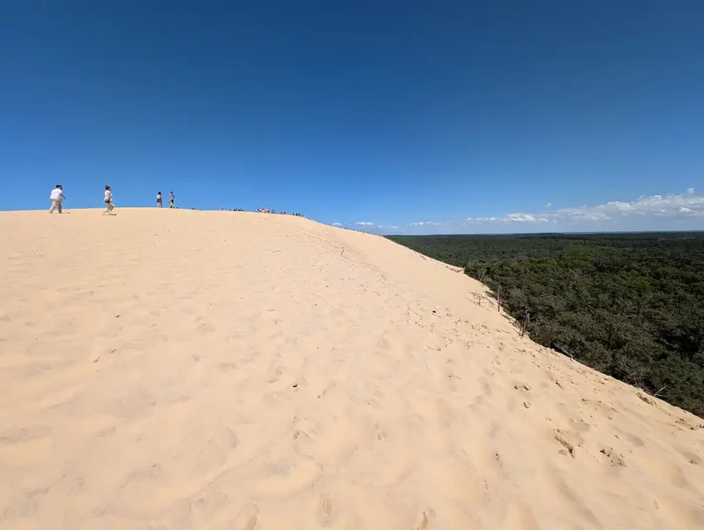 The amazing Dune du Pilat. An enormous yellow sand dune stretches away into the distance against a blue sky, with a pine forest at the base.