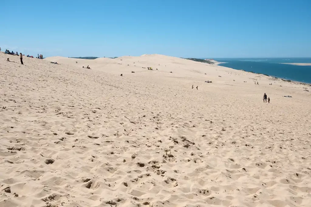 Looking south down the dune. There are a few people dotted around.