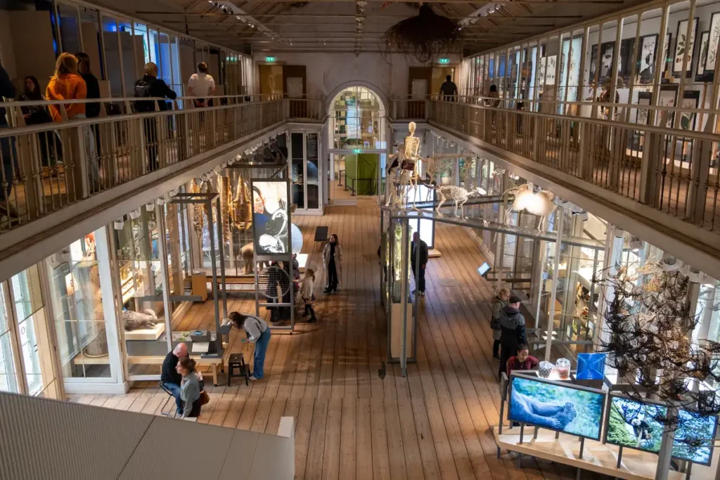 An airy museum exhibition hall. The building is old, with wooden floors and galleries on either side, but the exhibits are very modern.
