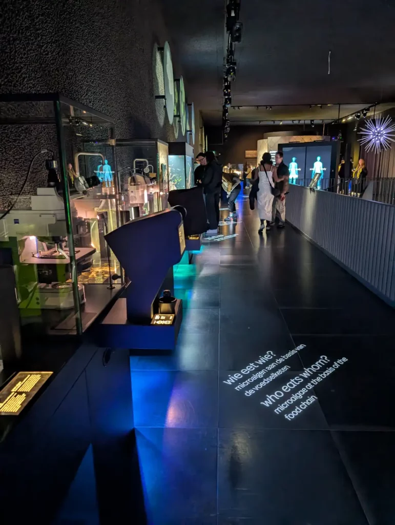 Inside the ARTIS-Micropia Microbe Museum