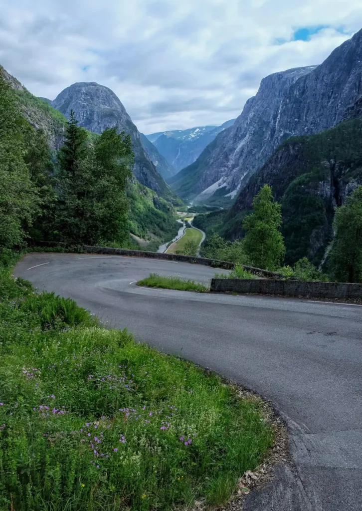 The epic hairpin bends on the Stalheimskleiva road down to Gudvangen. There are mountains in the background and spring flowers growing by the side of the road.