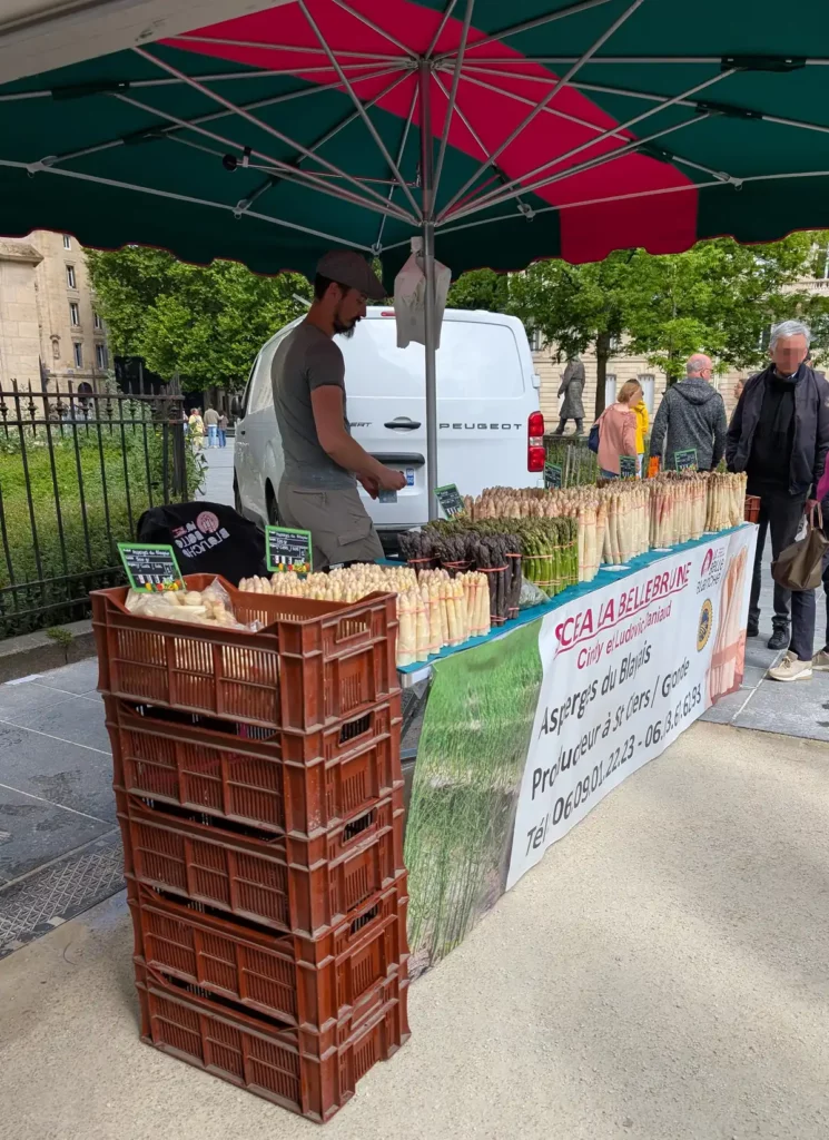 A man selling various types of asparagus from a stall at a farmers' market in Bordeaux