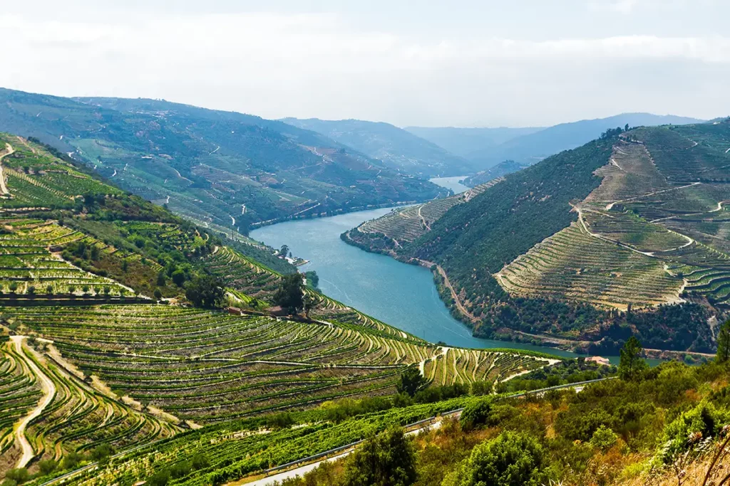 The Douro Valley is up-river from Porto and is absolutely stunning, with terraced vineyards full of port wine grapes